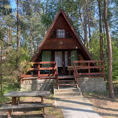 Pod Sosnami Θέρετρο Stegna (Pomerania)