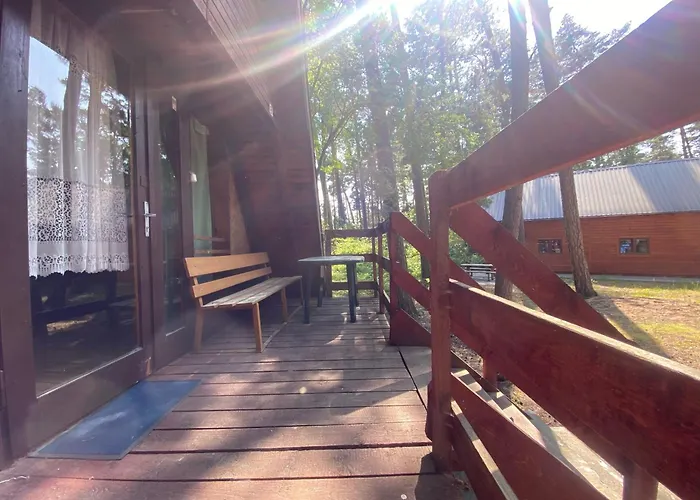 Pod Sosnami Stegna (Pomerania)