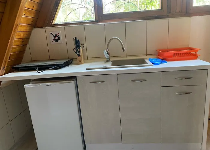 Pod Sosnami * Stegna (Pomerania)